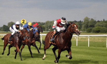 Horse Racing: An Exciting Sport for People of All Ages