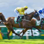 Horse Racing: An Insider's Guide to the Sport