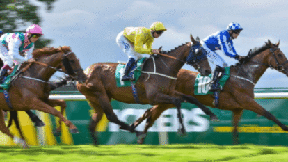 Horse Racing: An Insider's Guide to the Sport