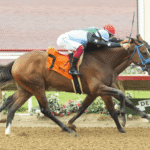 Horse Racing: An Overview of the Breeding Process
