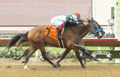 Horse Racing: An Overview of the Breeding Process