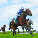 Horse Racing: An Overview of the Different Types of Tracks