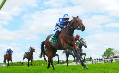 Horse Racing: An Overview of the Different Types of Tracks